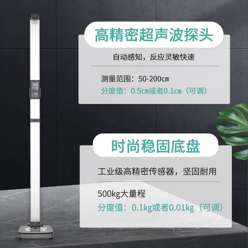 SH-E10基础款 身高体重秤